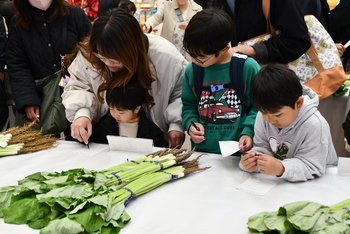 ご存じですか？八尾若ごぼう