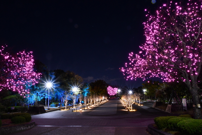 久宝寺緑地のクリスマスイルミネーション