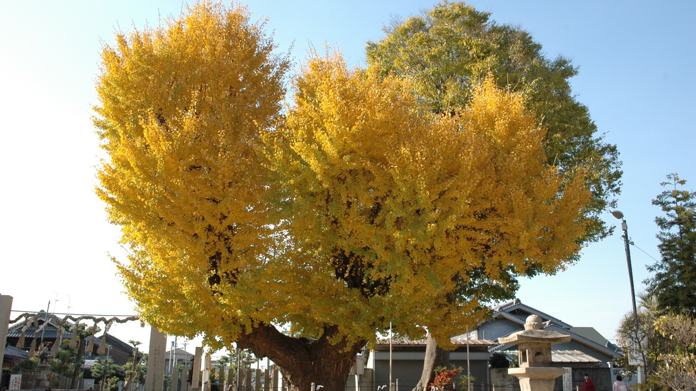 住みやすいやお みんなが笑顔のやお