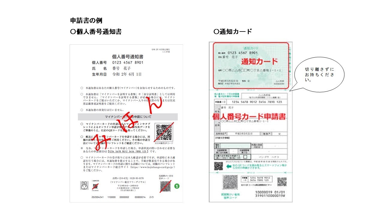 写真：通知カード・個人番号通知書　申請書の例