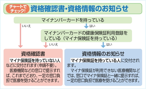 画像：マイナ保険証フローチャート