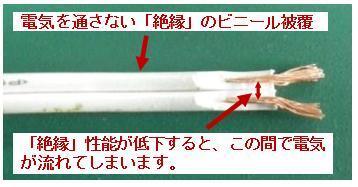 写真：絶縁劣化