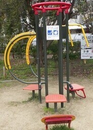 写真:複合機能系健康遊具