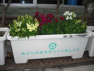 写真：「みどりのまちをつくりましょう」と書かれたプランター