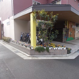 写真：駐輪場と一体化している花壇