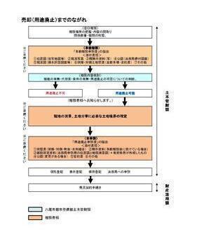 写真：法定外公共物売却の流れ