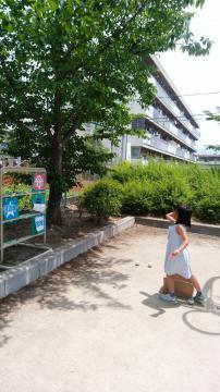 写真：ごみの分別ストラックアウトの様子