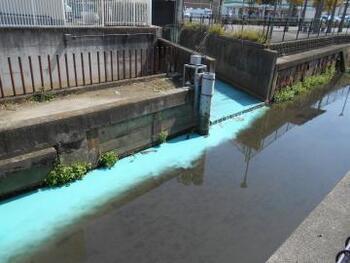 写真:着色水の流出の様子