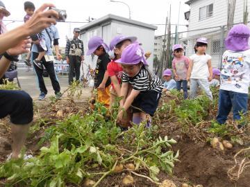 写真：抜いてる場面