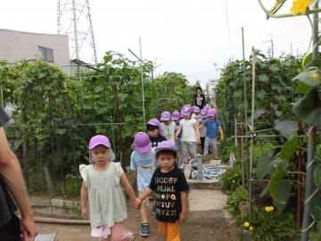 写真：ジャガイモ採取終了