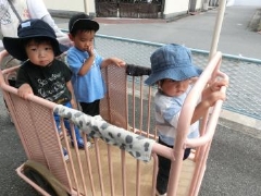 写真:散歩2