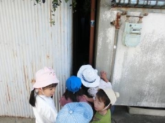写真:散歩3