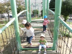 写真:散歩4