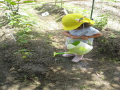 お水あげるね