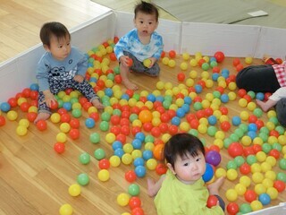 写真：ボールプールで遊ぶ幼児達