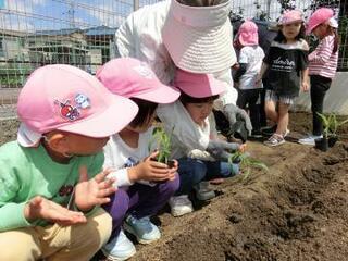 写真：先生と苗を植える子ども達2