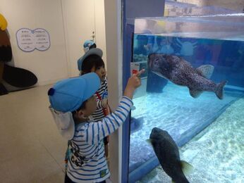 写真:遠足4