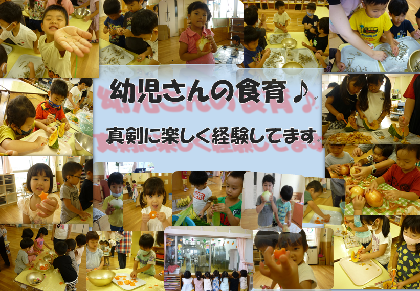 写真：幼児さんの食育 真剣に楽しく経験してます