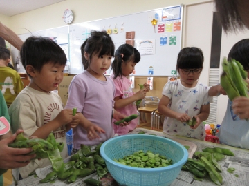 写真：野菜の下処理1