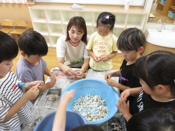 写真：野菜の下処理2