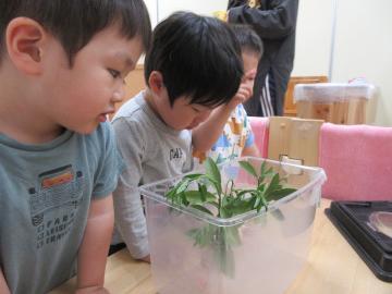 写真:一時預かり(いるか組)の様子2
