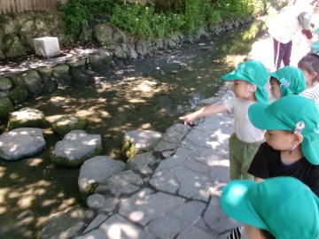 写真：0.1.2歳児クラスの様子10