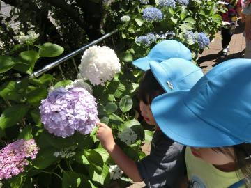 写真：3．4．5歳児クラスの様子4