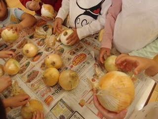 写真：野菜の下処理1