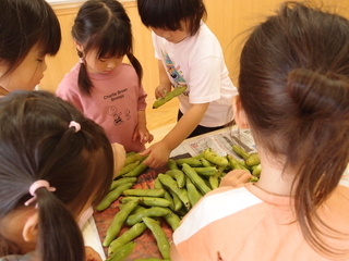 写真：野菜の下処理7