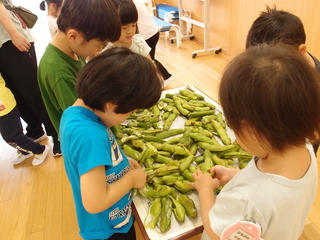 写真：野菜の下処理8