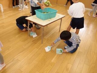 写真：野菜の下処理11