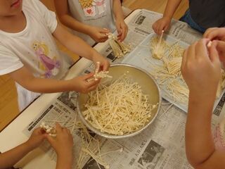 写真：えのきの下処理