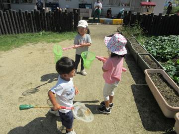 写真：9月-2