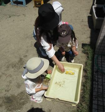 写真：5月-3