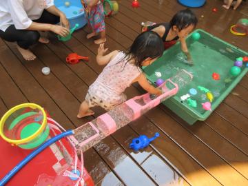 写真：8月-2