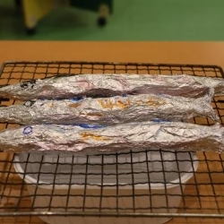 写真：保育と自然11-5