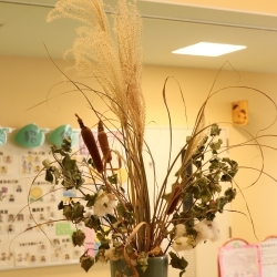 写真：保育と自然11-27