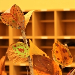 写真：保育と自然11-50