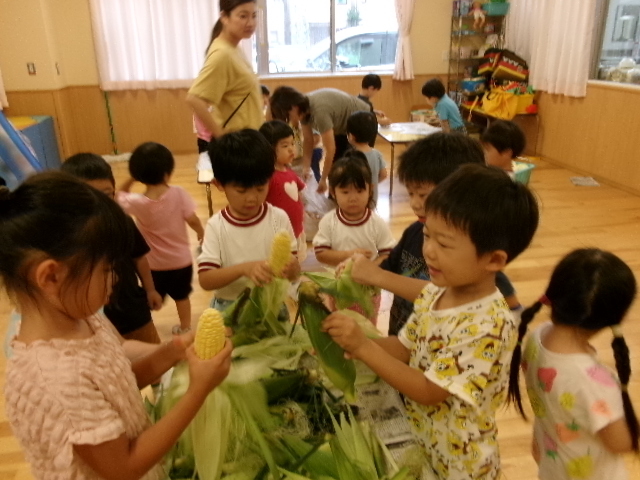 写真：とうもろこしの皮むき（夏）3