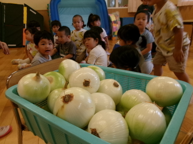 写真：玉ねぎの皮むき【3歳】3