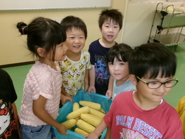 写真：とうもろこしの皮むき（夏）4