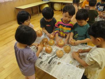 写真：玉ねぎの皮むき1