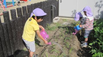 写真：菜園活動4
