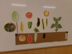 野菜を仕分けした様子