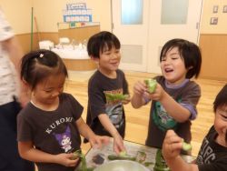 そら豆をさや取りする様子2