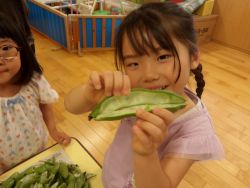 そら豆のさやを子どもが見せてくれている様子