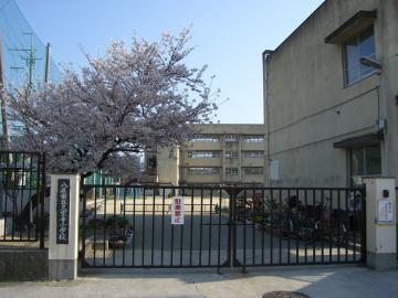 写真：外観