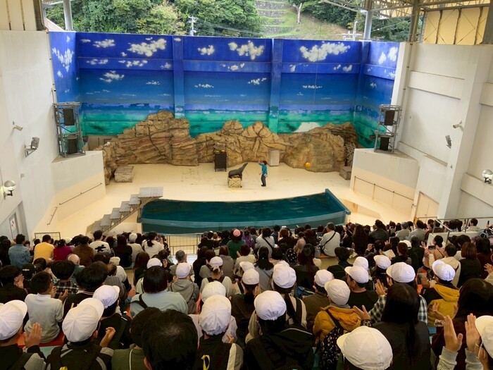 写真：鳥羽水族館1