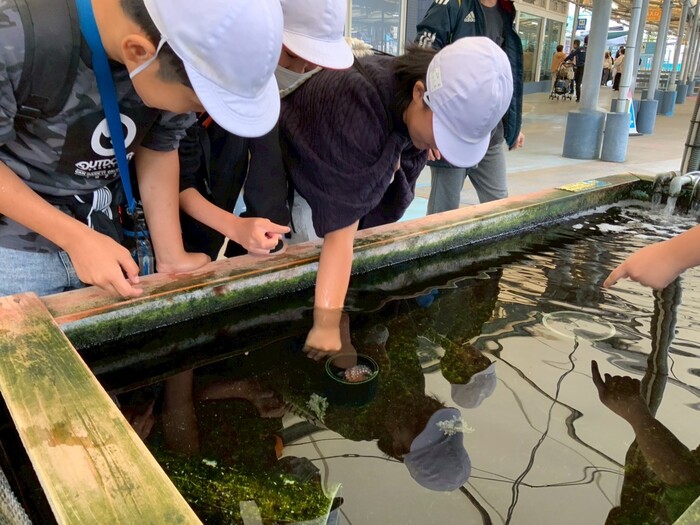 写真：鳥羽水族館2