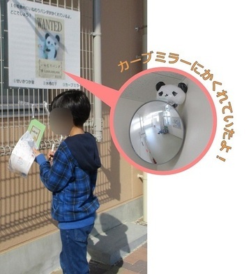 写真：いねむりパンダ